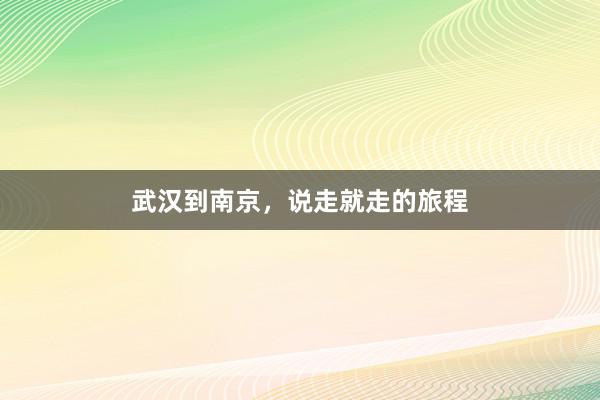 武汉到南京，说走就走的旅程