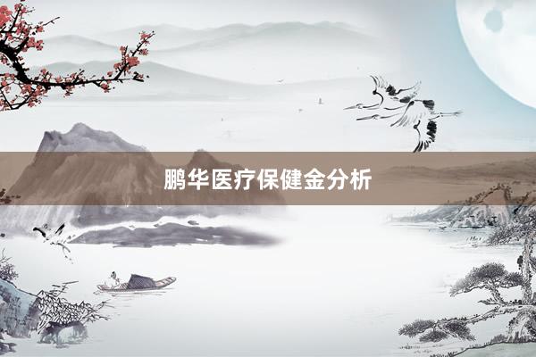 鹏华医疗保健金分析