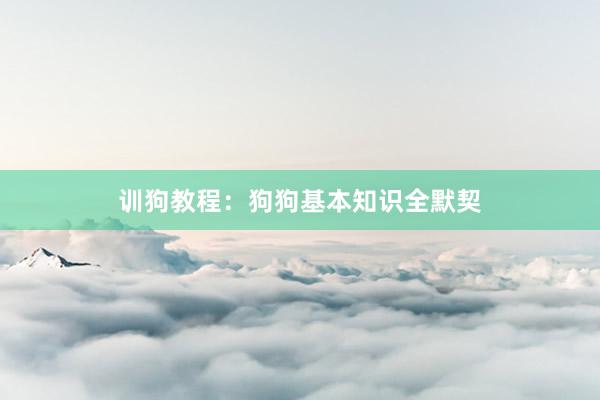 训狗教程:狗狗基本知识全默契